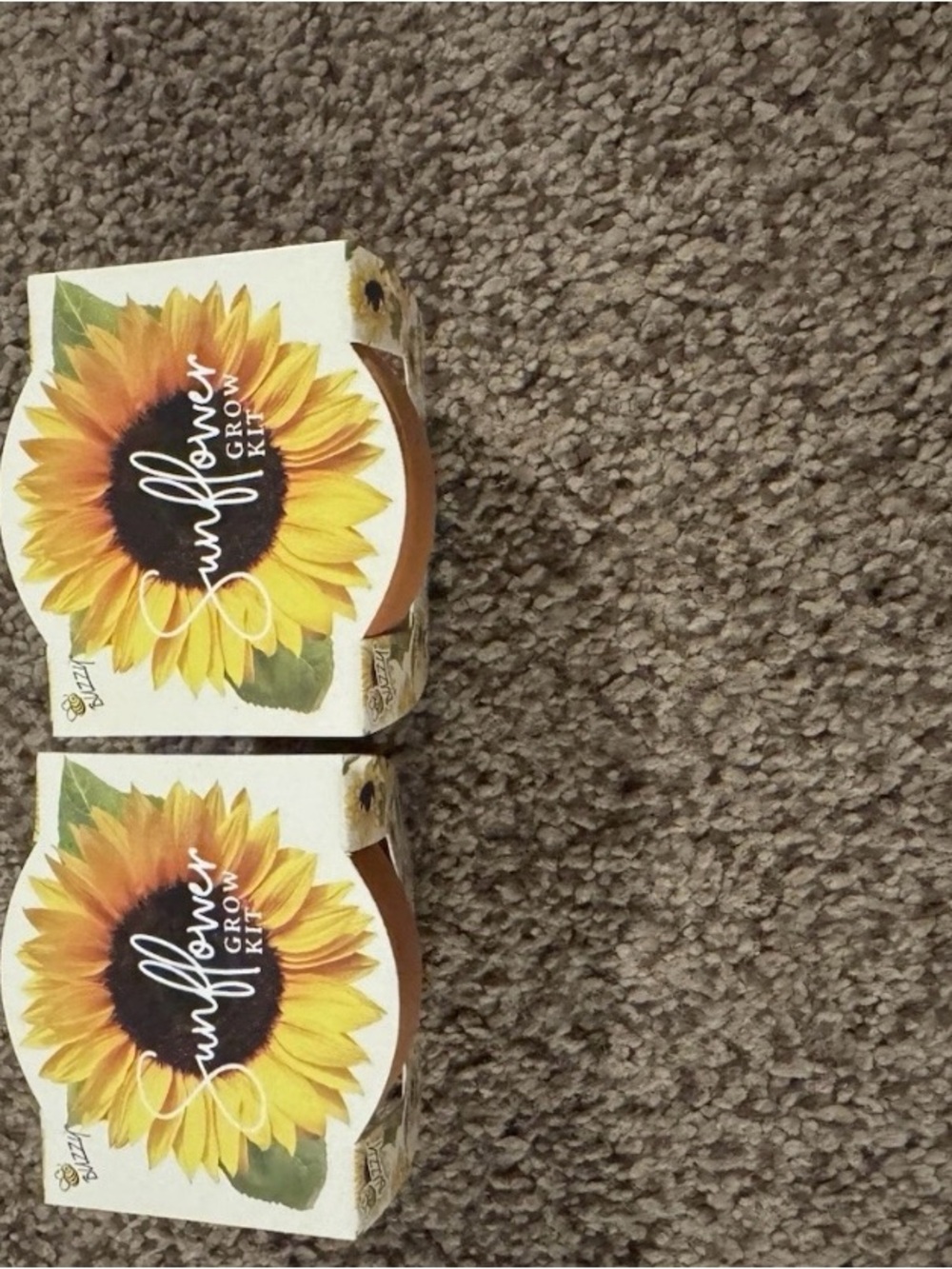 Sunflower Kit